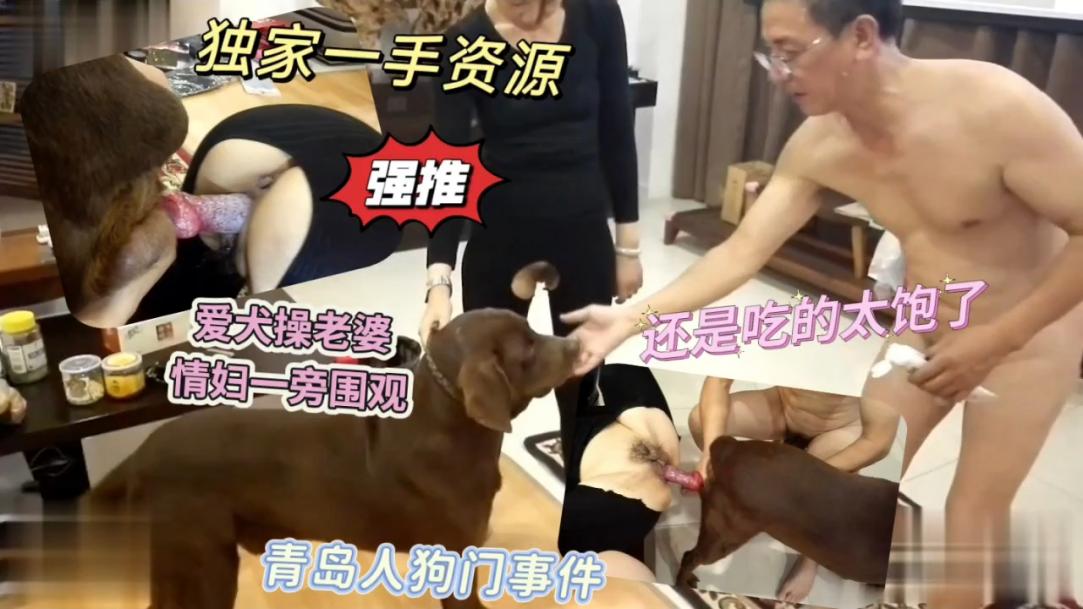 独家资源!青岛一大佬追求刺激让爱犬操老婆情妇旁观封面图