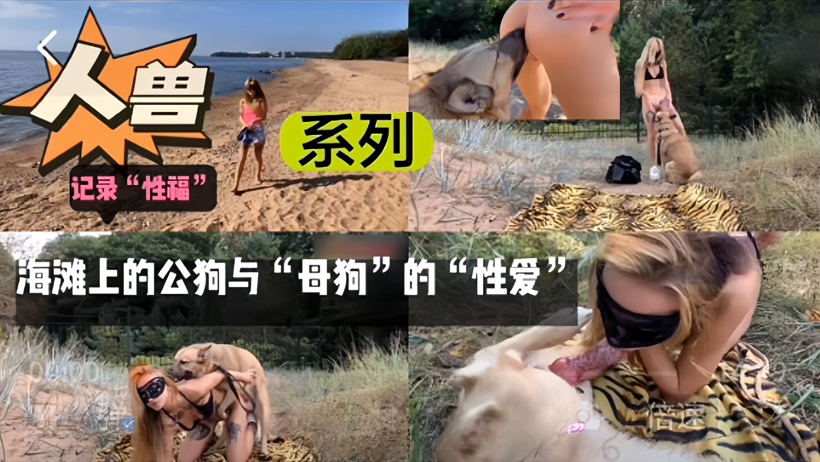 人兽系列- 海滩上的公狗与母狗的‘性爱’封面图