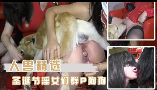 人兽精选圣诞节淫女们群P狗狗封面图