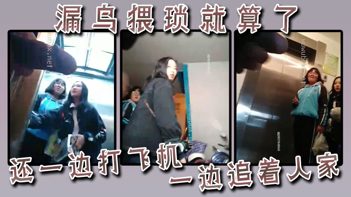 漏鸟猥琐就算了还一边打飞机一边追着人家封面图