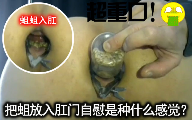重口慎入！大胆伪娘把一罐蛆塞入肛门感受蠕动的滋味感觉封面图