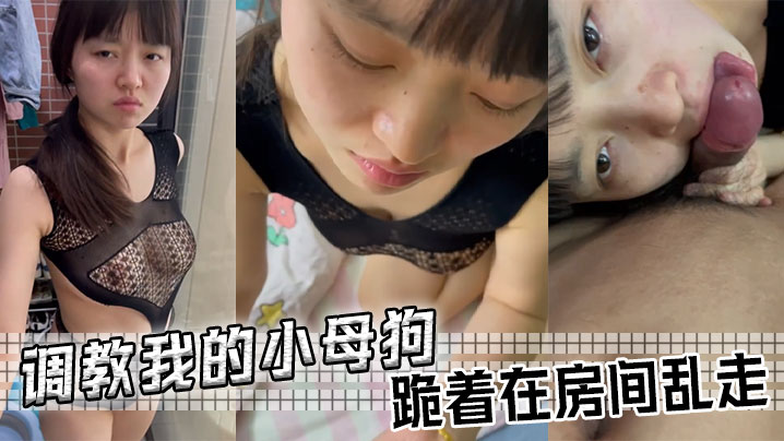 调教我的小母狗，跪着在房间乱走封面图
