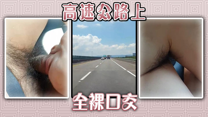 高速公路上全裸口交封面图