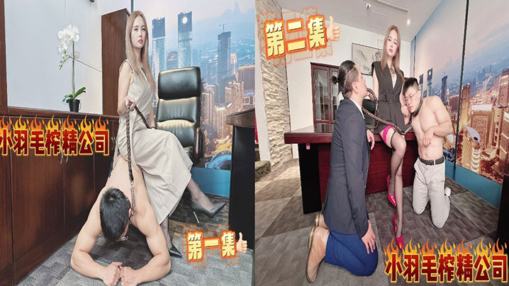 小羽毛榨精公司 能不能走出去就看你的本事了封面图