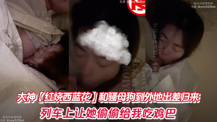 大神【红烧西蓝花】和骚母狗到外地出差归来封面图