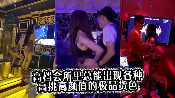 高档会所里总能出现各种高挑高颜值的极品货色合集封面图