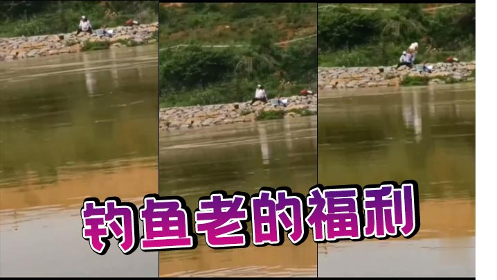 钓鱼老的福利封面图