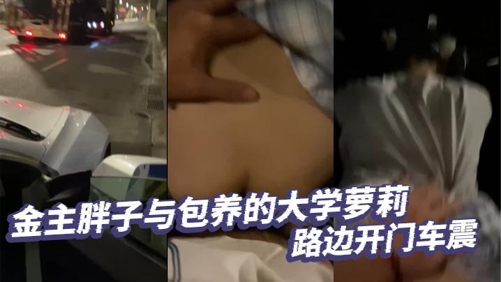金主胖子与包养的大学萝莉路边开门车震封面图