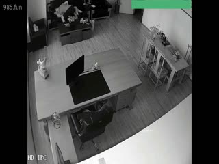 【三十如狼】河北某摄影店老板娘在公司与2名男子长达两年偷情记录每次都是无套内射有生活照片太炸裂了_封面图