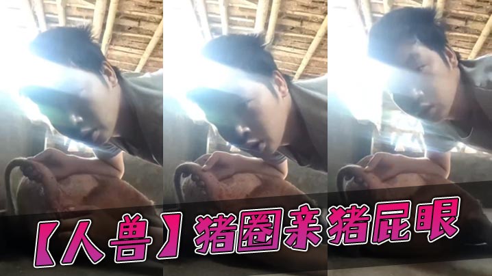 人兽猪圈亲猪屁眼封面图