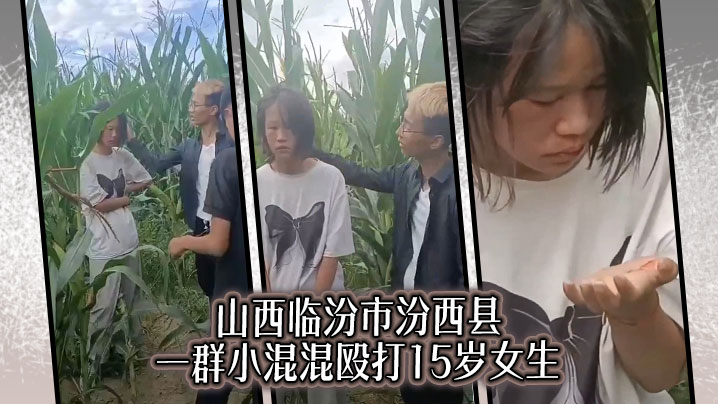 山西临汾市汾西县 一群小混混殴打15岁女生封面图