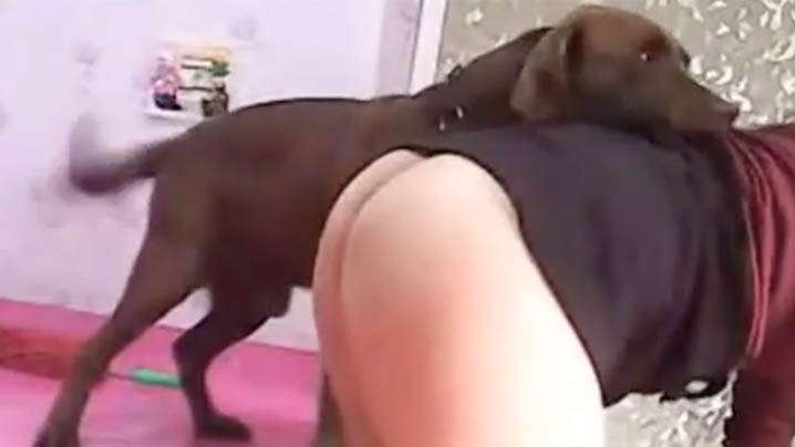 国产人兽绿奴直播分享老婆被狗子干封面图