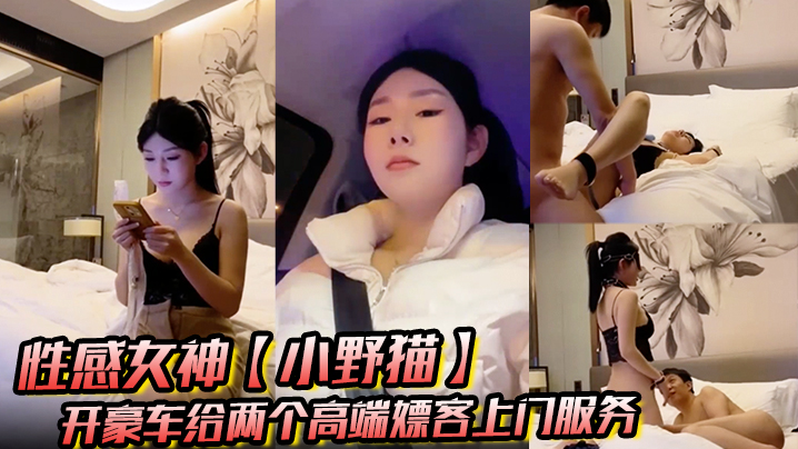 性感女神【小野猫】开豪车给两个高端嫖客上门服务猥琐大叔喜欢玩SM帅哥还算正常吹箫热身啪啪封面图