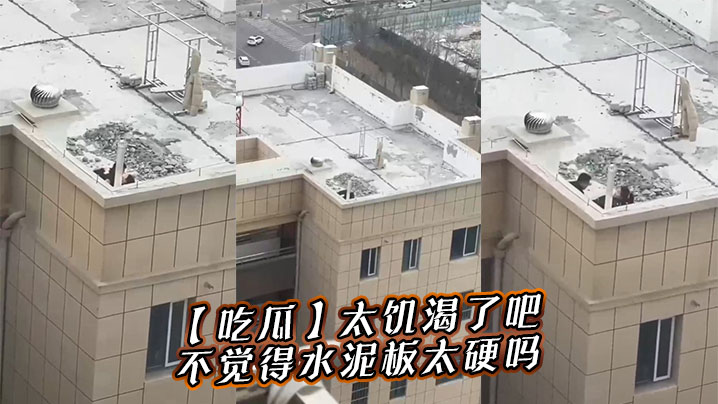 【吃瓜】太饥渴了吧，不觉得水泥板太硬吗封面图