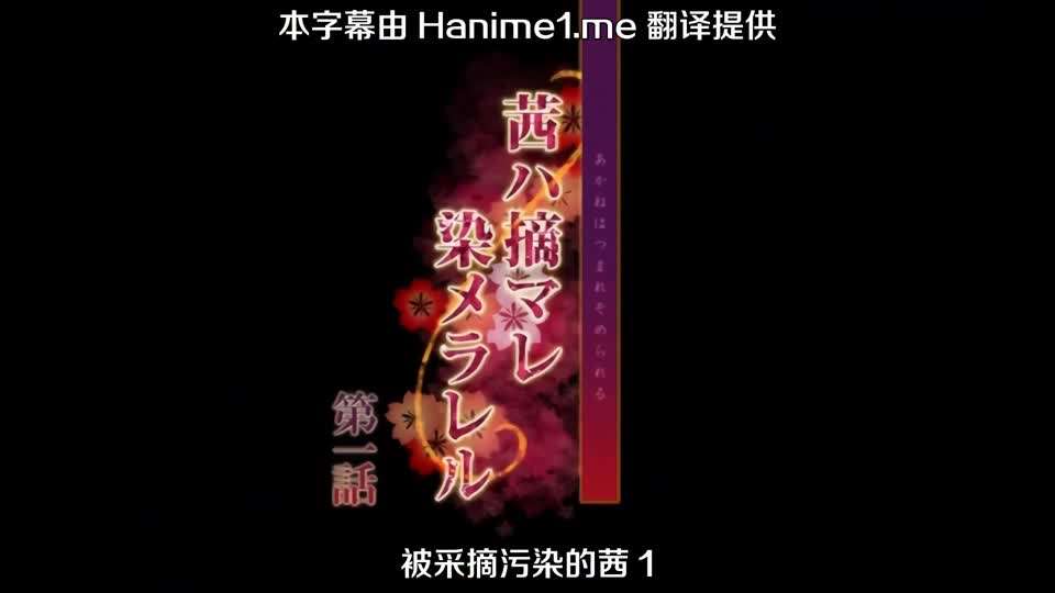 被采摘污染的茜1封面图