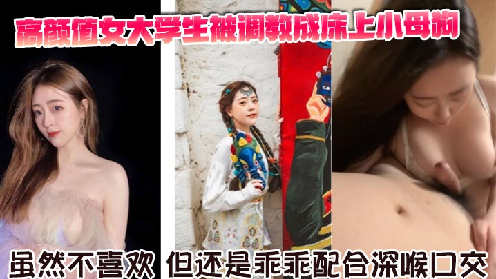 高颜值女大学生被调教成床上小母狗。虽然不喜欢，但还是乖乖配合深喉口交。舌舔骑乘坐在胸脯上男友的JB，封面图