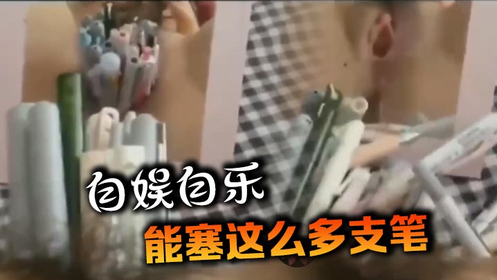 自娱自乐，能塞这么多支笔封面图