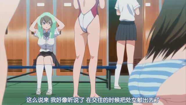 宠物的生活封面图