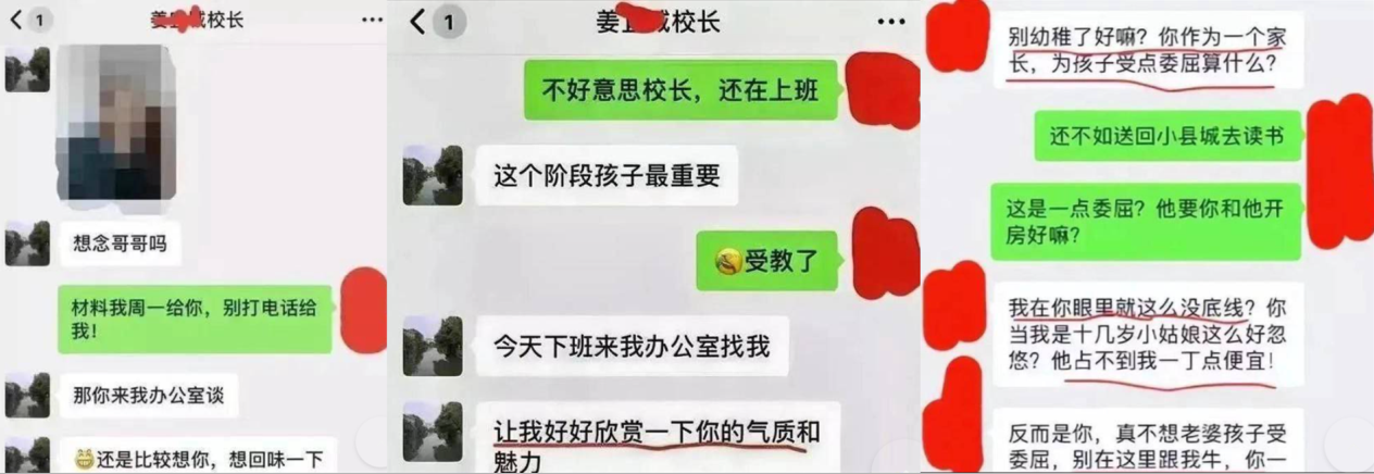上海美女妈妈为儿子入知名幼儿园陪校长睡觉自诩阿甘母亲封面图