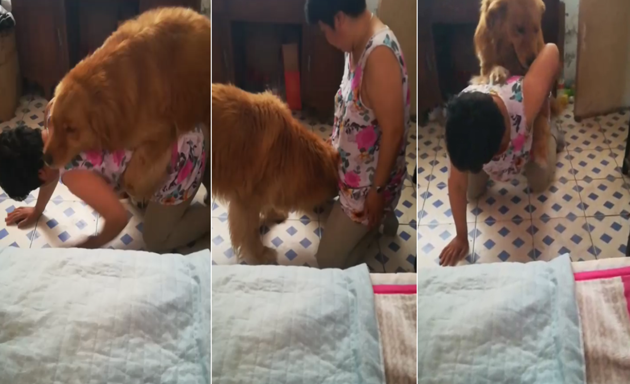 熟女让狗子操她逼逼封面图