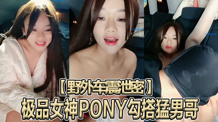 野外车震泄密极品女神PONY勾搭猛男哥无套骑乘顶操中国红女神被大J8猛操苦不堪言没忍住内射封面图