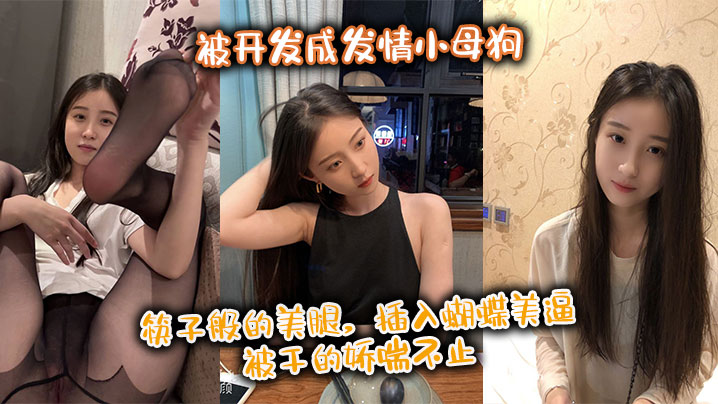 极品身材尤物御姐被开发成发情小母狗 筷子般的美腿，插入蝴蝶美逼 被干的娇喘不止封面图