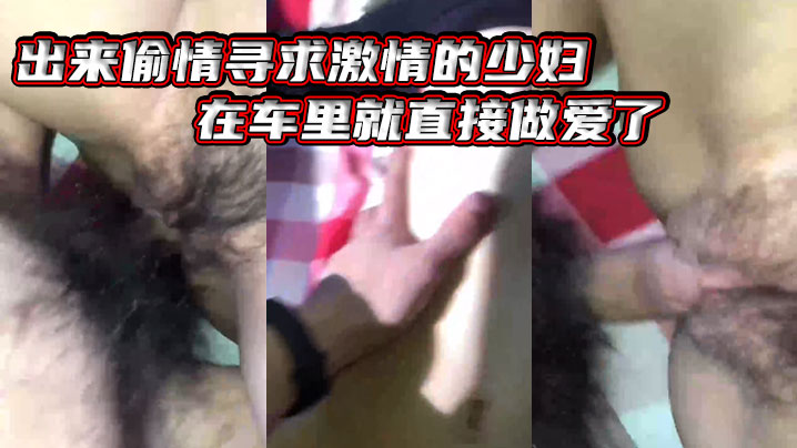 出.来偷情.寻求激情.的少妇在车.里.就直接做.爱了爸.爸_插得豪.爽使.劲艹我啊.啊不要不.要骚货.被艹的嗷.嗷叫_内射.她封面图