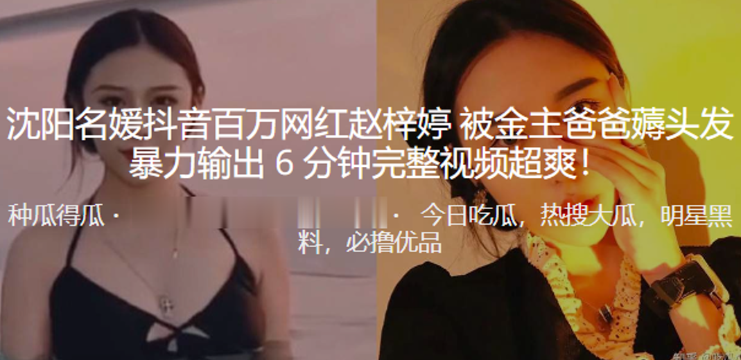 沈阳名媛抖.音百万网红.被金主爸.爸薅头发暴力.输出超爽封面图