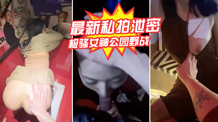 最新私拍泄密极骚女神公园野战_酒吧厕所后入爆操封面图