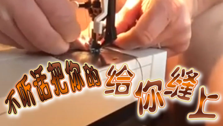 不听话把你的给你缝上封面图