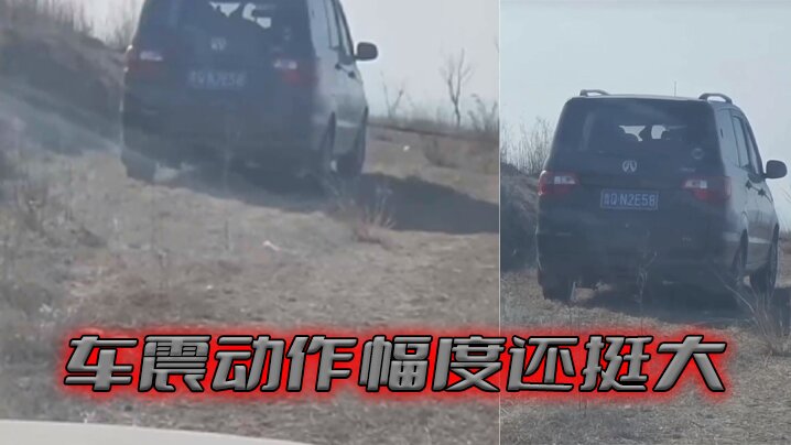 车震动作幅度还挺大封面图