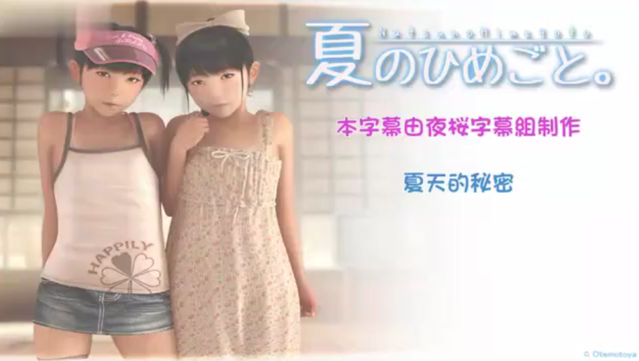 中文字幕夏天的秘密封面图