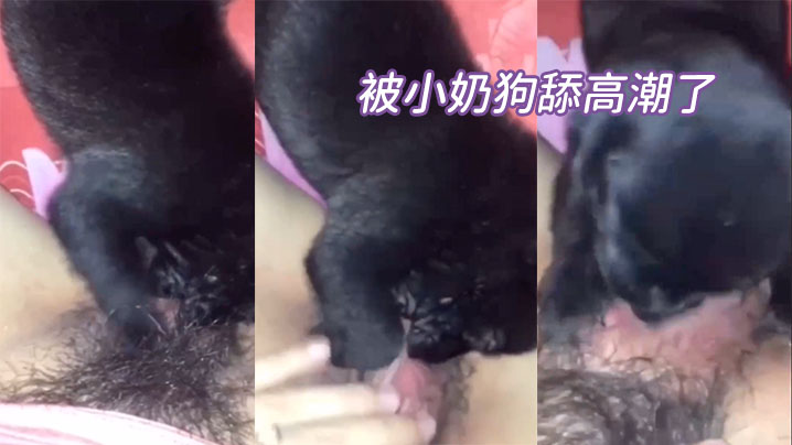 被.小.奶狗..舔高.潮了封面图