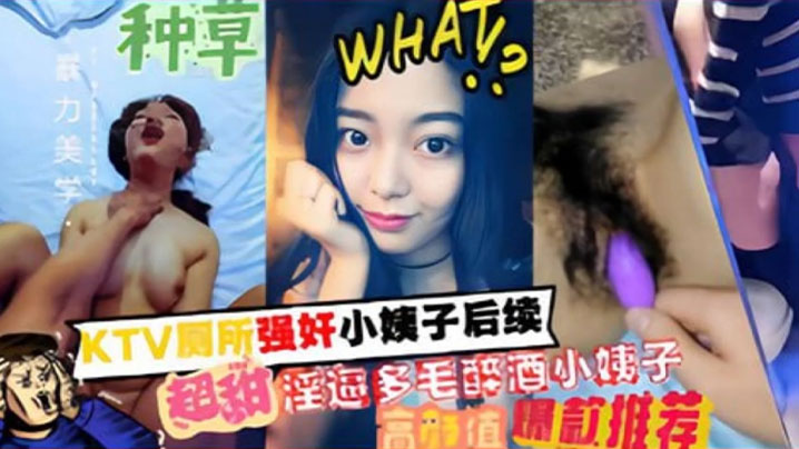 家庭乱伦KTV厕所强奸小姨子后续超甜淫逼多毛醉酒小姨子封面图