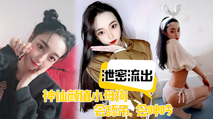 泄密流出神仙颜值小母狗会舔吊会呻吟无套插入后艹爽了便是臣服封面图