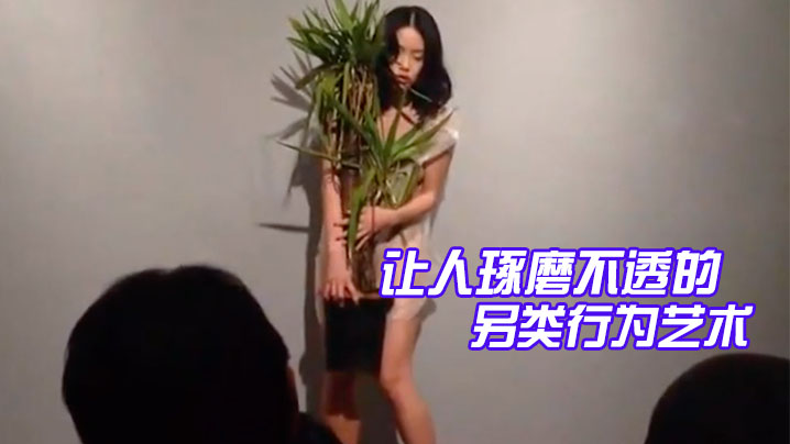 精品让人琢磨不透的另类行为艺术美女抱着一盆花穿着透明衣服全场人鸦雀无声静静看着她表演封面图