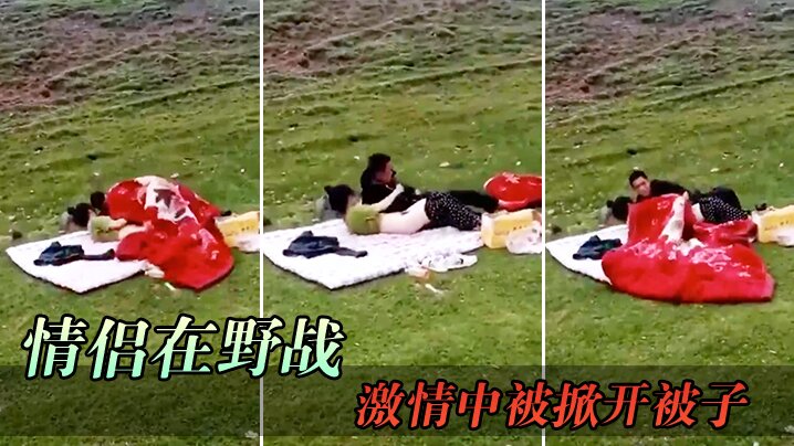 情侣在野战激情中被掀开被子封面图