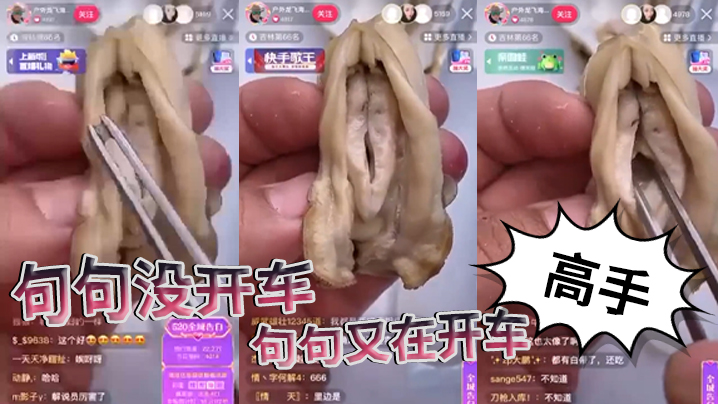 句句没开车句句又在开车高手封面图