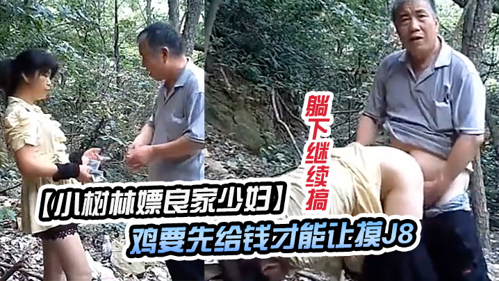 小树林嫖良家少妇鸡要先给钱才能让摸J8撸硬直接后入干一会躺下继续搞封面图