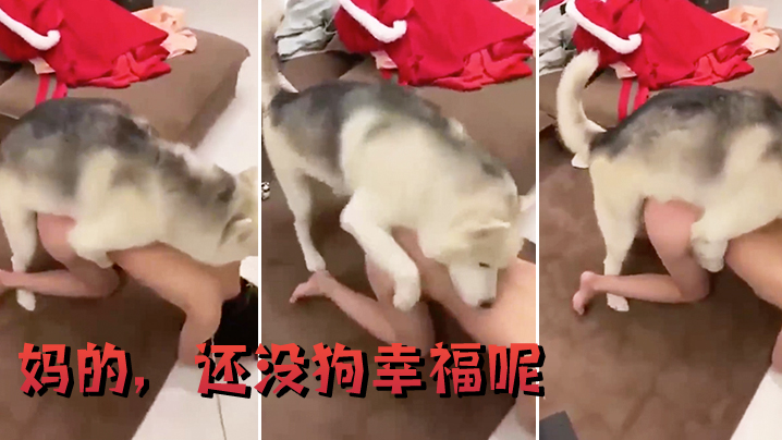 妈的还没狗幸福呢封面图