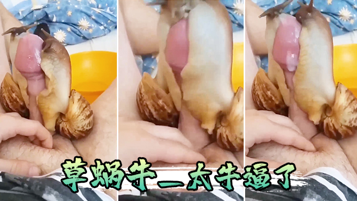 草蜗牛_太牛逼了封面图