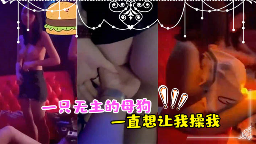 正好一只无主的母狗_一直想让我操我_异想天开_用手让她高潮了2次_最後让她舔干净封面图