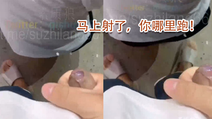 马上射了你哪里跑封面图