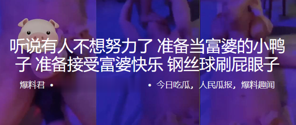 听说有人不想努力了准备当富婆的小鸭子准备接受富婆快乐钢丝球刷屁眼子封面图