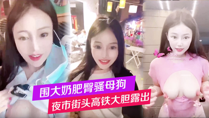 围大奶肥臀骚母狗夜市街头高铁大胆露出性爱调教封面图