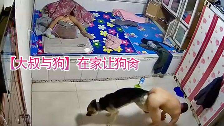 大叔与狗在家让狗肏还被拖着走封面图