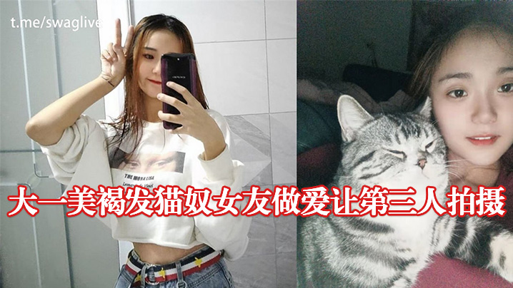 大一美褐发猫奴女友做爱让第三人拍摄封面图