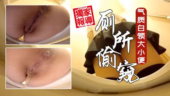 牛逼厕所偷窥公共女坐便坑内镜头多位气质白领大小便封面图