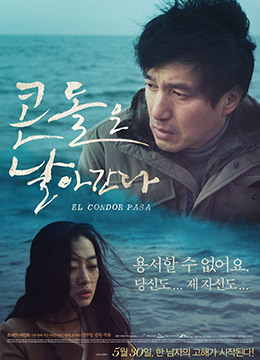 山鹰之歌封面图