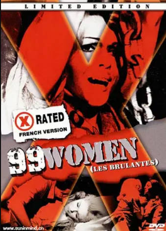 九十九个女人封面图